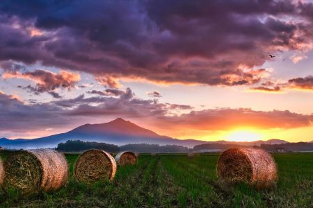 武井千鶴子「秋峰」
（撮影月日）2022-10-1
（撮影場所）下妻市
（情景と狙い）
夜明け前の田んぼは
真っ暗だって　知ってます？
たしかこの辺？・・・・のはず
太陽が出る前の僅かな間に
まあ大変！　ぶ厚い雲は心配だし
構図はどうしたらいいの？
テンション上がりまくった朝でした
　　　　　　　ロール撮影初体験記